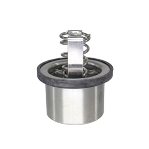 Thermostat with Seal (89 deg. C) - 94810612501