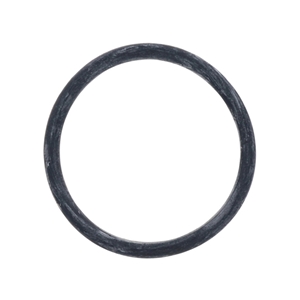 Engine Water Pump Housing O-Ring