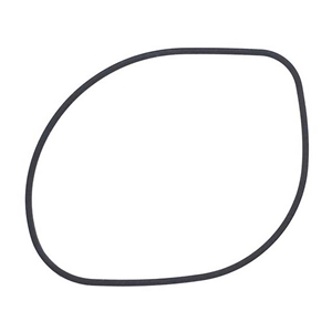 Water Pump Gasket - 9A110621700