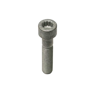 Axle Bolt