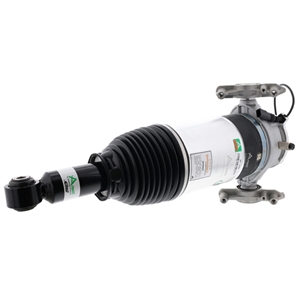 Air Suspension Strut Assembly - AS3166