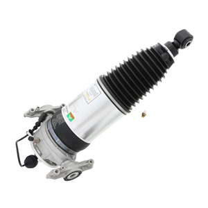 Air Suspension Strut Assembly - AS3167