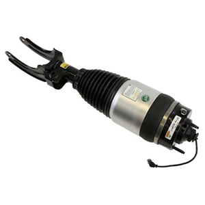 Air Suspension Strut Assembly - AS3235