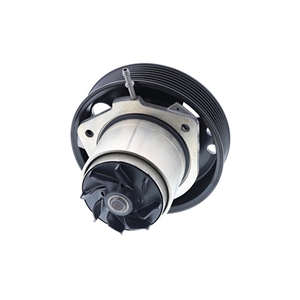 Water Pump with Gasket - 95810603304