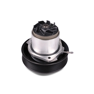 Water Pump with Gasket - 95810603304