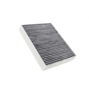 Cabin Air Filter for Blower Housing - 9P1819631