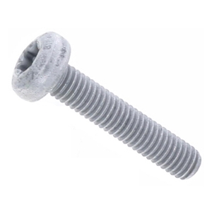 Breather Cover Bolt (6 X 30 mm) - N10156207