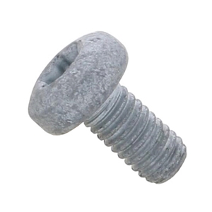 Crankcase Bolt - Crankshaft Seal Flange (6 X 12 mm) - N10335206