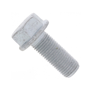Radiator Hose Seal