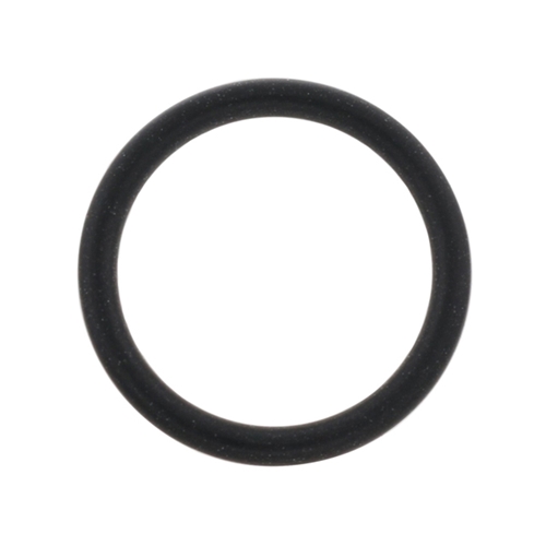 Coolant Pipe Seal Ring (20 X 2.5 mm) - WHT005440