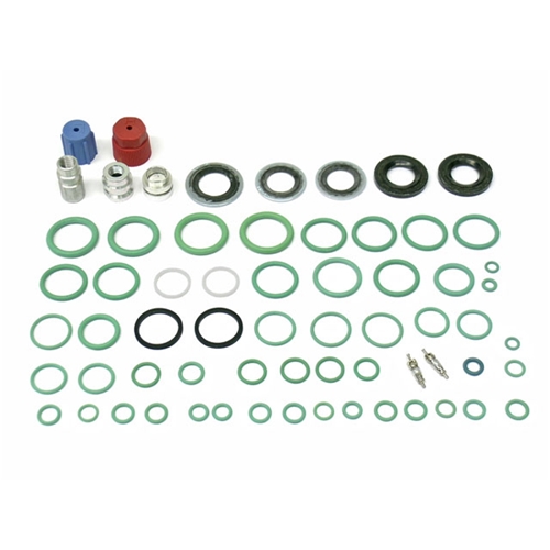 A/C System Retrofit Kit - R12 to R134a Retrofit - 559807901