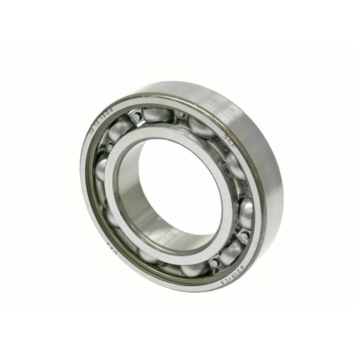 Carrier Bearing for Differential - 90005200500