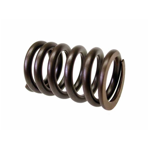 Valve Spring - 61610543203