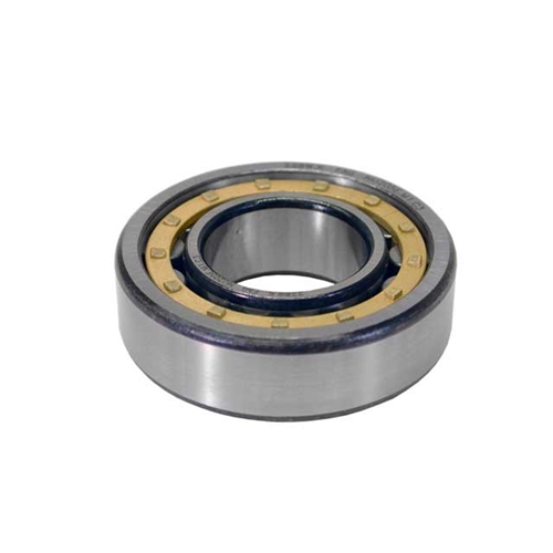 Main Shaft Bearing - 64420207