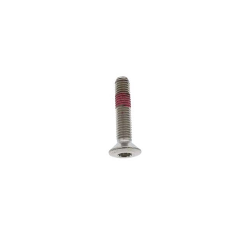 Door Lock Striker Plate Bolt (8 X 40 mm) - 99921900800