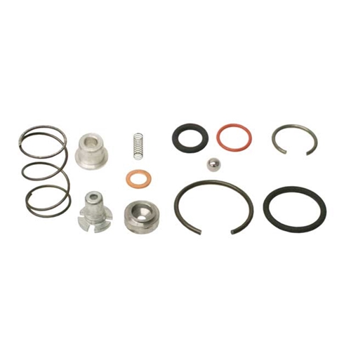 Chain Tensioner Rebuild Kit - 91110590101