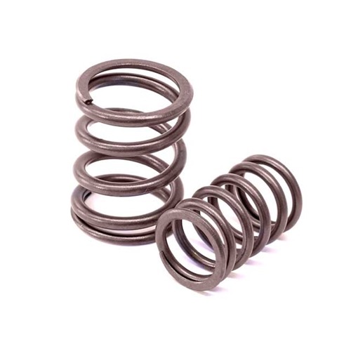 Valve Spring Set - 90110590151