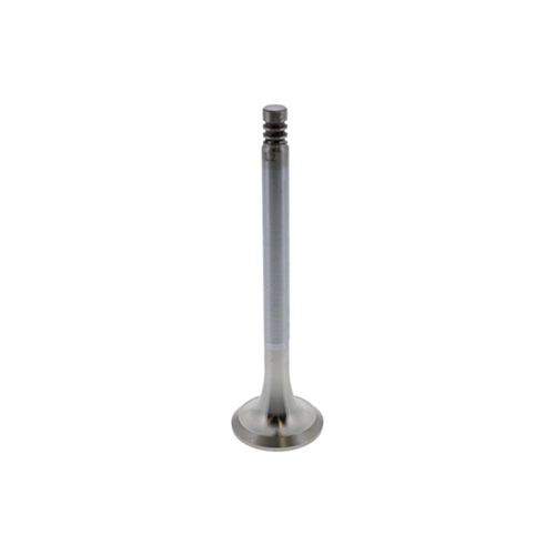 Exhaust Valve (33 mm) - 022109612D