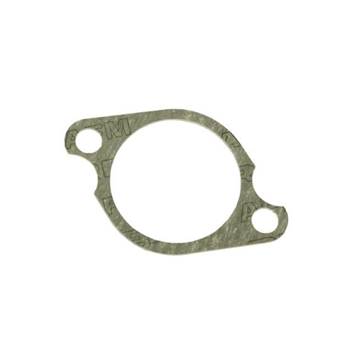 Intake Manifold Gasket - 100853391