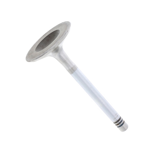 Intake Valve - 93010540913