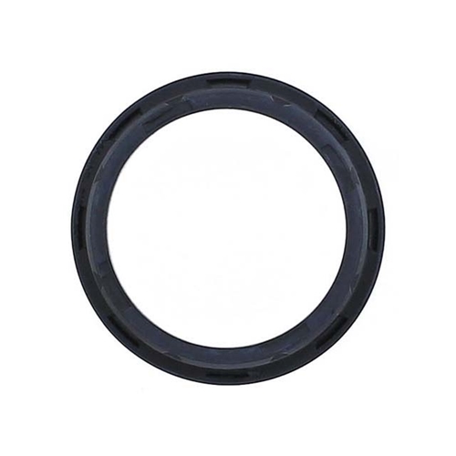 Thermostat Seal (In Water Pump) - 95110615500