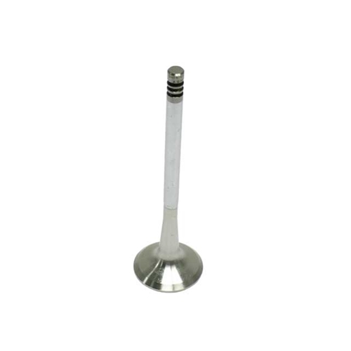 Exhaust Valve - 92810564206