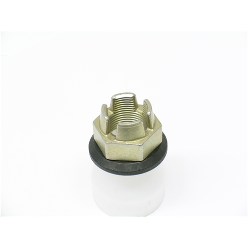 Wheel Hub Nut (22 X 1.5 mm) - PAF001784