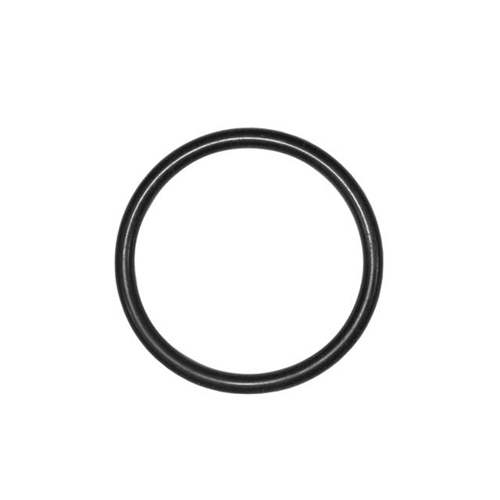 O-Ring for Fuel Tank Level Sensor - 99970711540