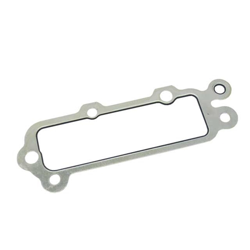 Gasket - Chain Housing to Case - 99310519300