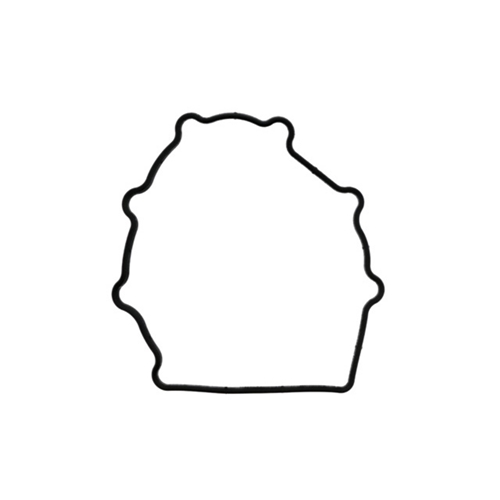 Chain Housing Gasket - 96410518101