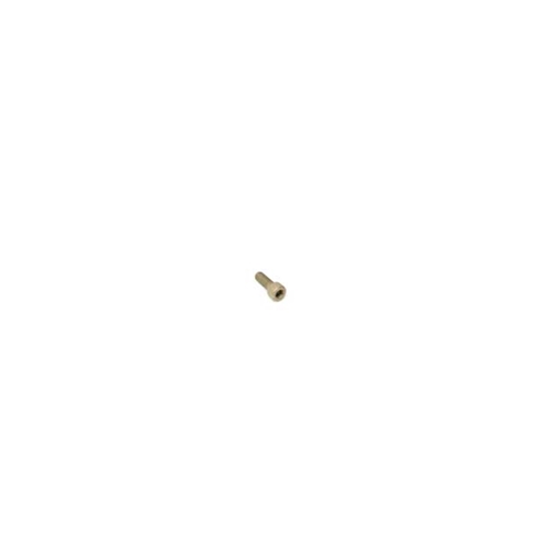 Drive Plate Bolt - Drive Plate to Torque Converter (6 X 16 mm) - 90006728001