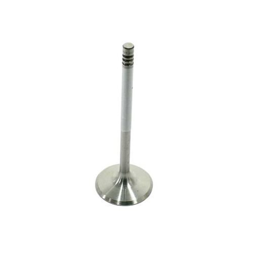 Intake Valve - 92810564106