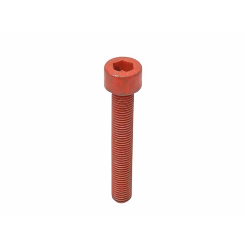 Brake Caliper Bolt (12 X 77 mm) - 99906704209