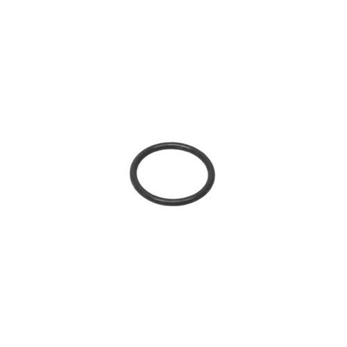 Camshaft Position Sensor O-Ring - 99970740441