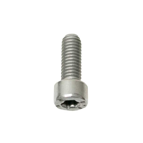 Crankshaft Sensor Bolt (6 X 16 mm Torx) - N10546403