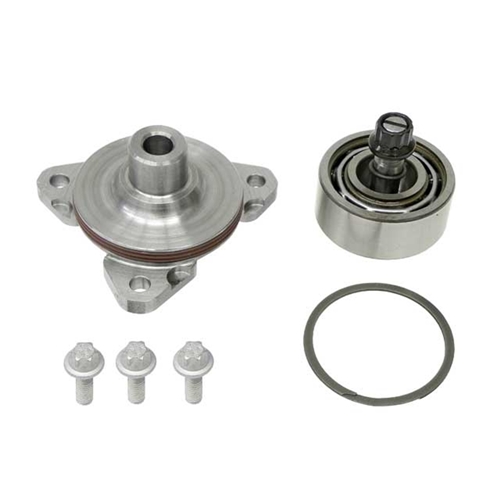 Intermediate Shaft Bearing Update Kit - 100124100