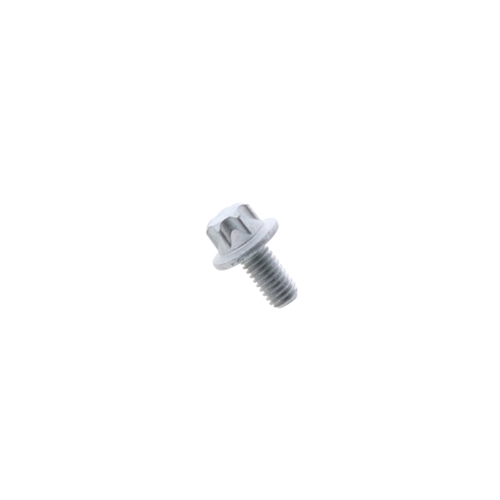 Camshaft Sprocket Bolt (6 X 12 mm Torx) - PAF008124