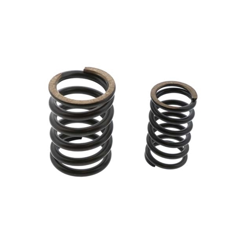 Valve Spring Set - 99610593900