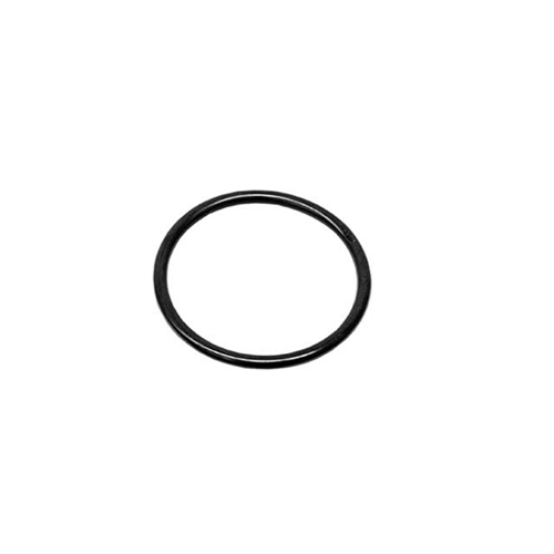 O-Ring for Transmission Filter - 95532544300