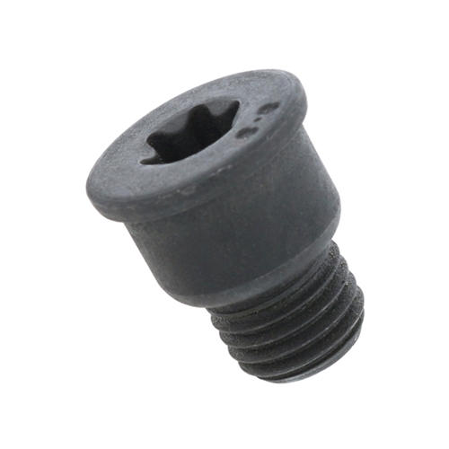 Brake Disc Set Screw (12 X 19.3 mm Torx) - PAF910282