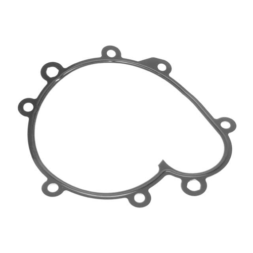 Water Pump Gasket - 94810611503