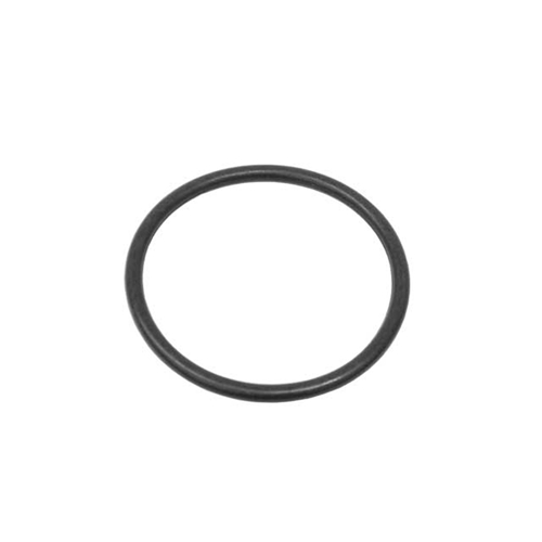 Water Hose O-Ring (46.7 X 3.53 mm) - 99610680103