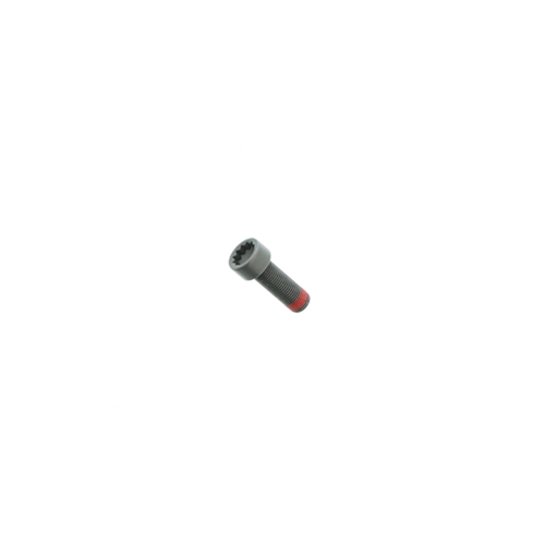 Flywheel Bolt - Crankshaft to Flywheel (10 X 29 mm) - PAF906651