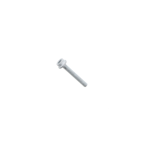 Fuel Injector Rail Bolt (8 X 55 mm) - N10544903