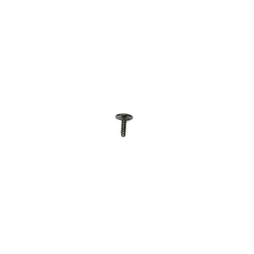 Mud Guard Screw - N90775001