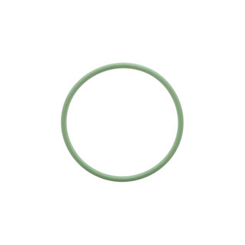 Vacuum Pump O-Ring (54 X 3 mm) - 99970758141