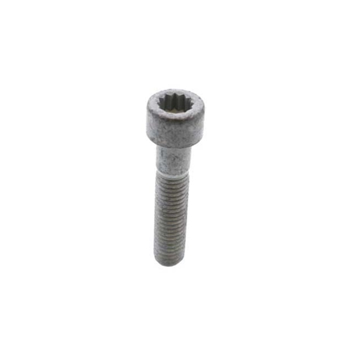 Axle Bolt (10 X 46.5 mm) - 99951004701