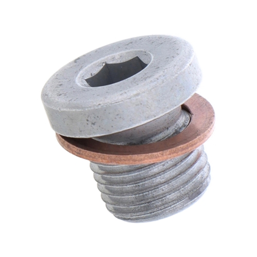 Differential Drain Plug (10 mm) - N90281802