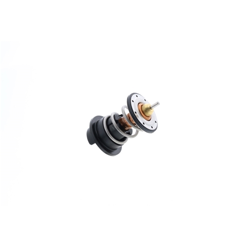 Thermostat (89 deg. C) - 95810612602