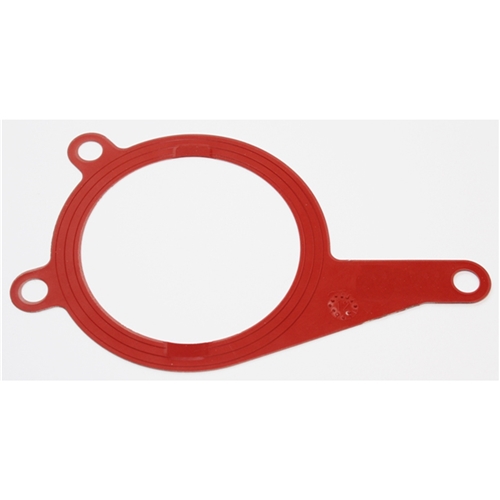 Vacuum Pump Gasket - 95811041700